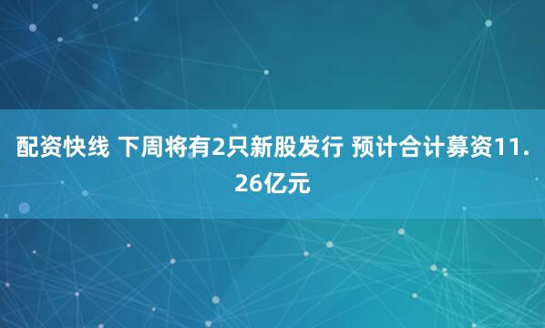 配资快线 下周将有2只新股发行 预计合计募资11.26亿元