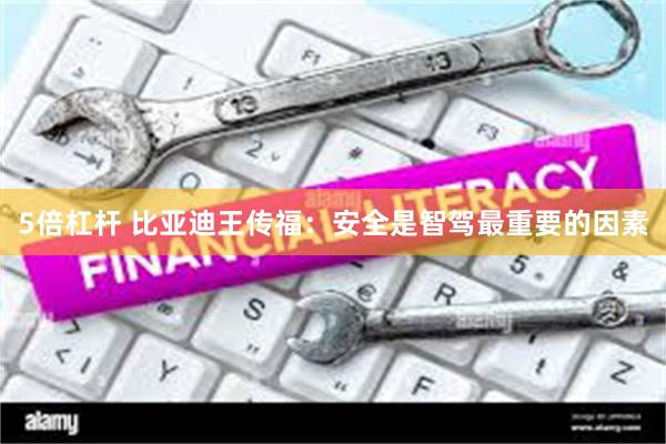 5倍杠杆 比亚迪王传福：安全是智驾最重要的因素