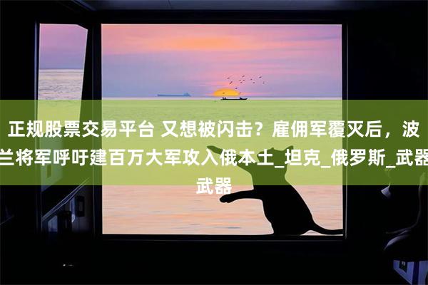 正规股票交易平台 又想被闪击？雇佣军覆灭后，波兰将军呼吁建百万大军攻入俄本土_坦克_俄罗斯_武器