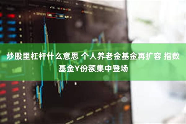 炒股里杠杆什么意思 个人养老金基金再扩容 指数基金Y份额集中登场