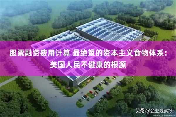 股票融资费用计算 最绝望的资本主义食物体系：美国人民不健康的根源