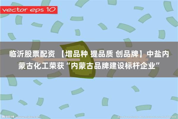 临沂股票配资 【增品种 提品质 创品牌】中盐内蒙古化工荣获“内蒙古品牌建设标杆企业”