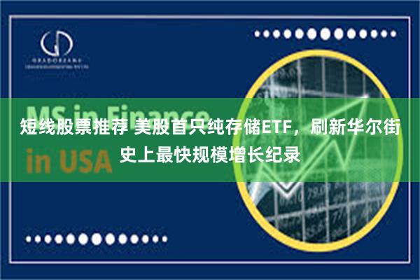 短线股票推荐 美股首只纯存储ETF，刷新华尔街史上最快规模增长纪录