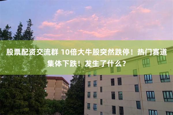 股票配资交流群 10倍大牛股突然跌停！热门赛道集体下跌！发生了什么？