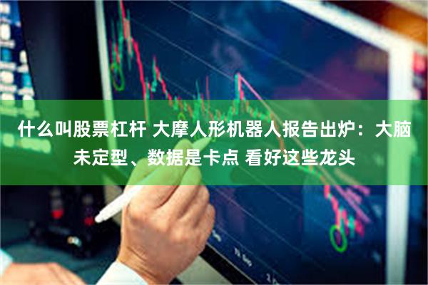 什么叫股票杠杆 大摩人形机器人报告出炉：大脑未定型、数据是卡点 看好这些龙头
