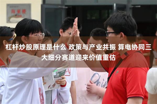 杠杆炒股原理是什么 政策与产业共振 算电协同三大细分赛道迎来价值重估