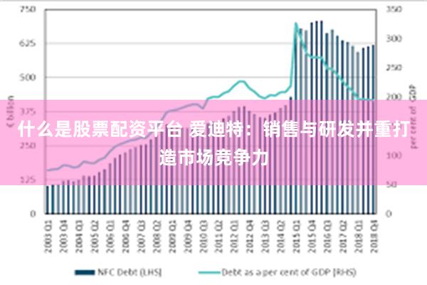 什么是股票配资平台 爱迪特：销售与研发并重打造市场竞争力