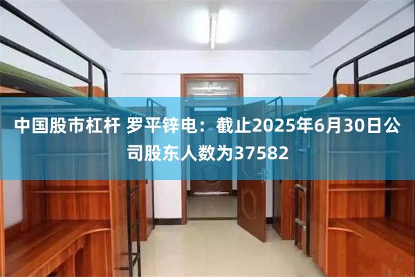 中国股市杠杆 罗平锌电：截止2025年6月30日公司股东人数为37582