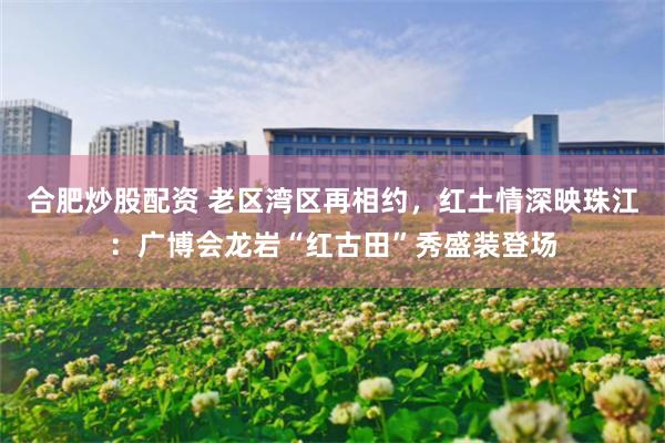 合肥炒股配资 老区湾区再相约，红土情深映珠江：广博会龙岩“红古田”秀盛装登场
