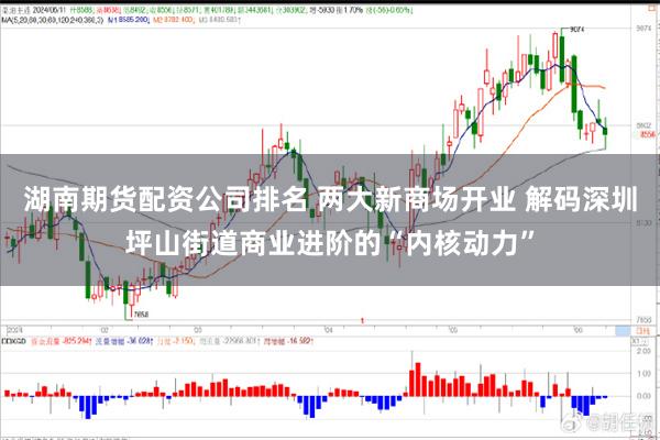 湖南期货配资公司排名 两大新商场开业 解码深圳坪山街道商业进阶的“内核动力”