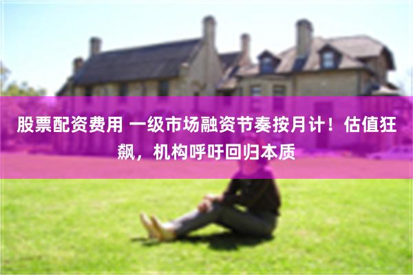 股票配资费用 一级市场融资节奏按月计！估值狂飙，机构呼吁回归本质