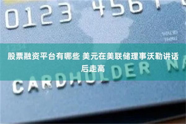 股票融资平台有哪些 美元在美联储理事沃勒讲话后走高