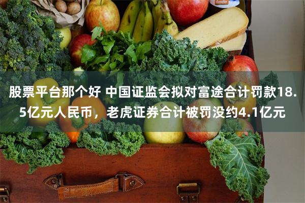 股票平台那个好 中国证监会拟对富途合计罚款18.5亿元人民币，老虎证券合计被罚没约4.1亿元