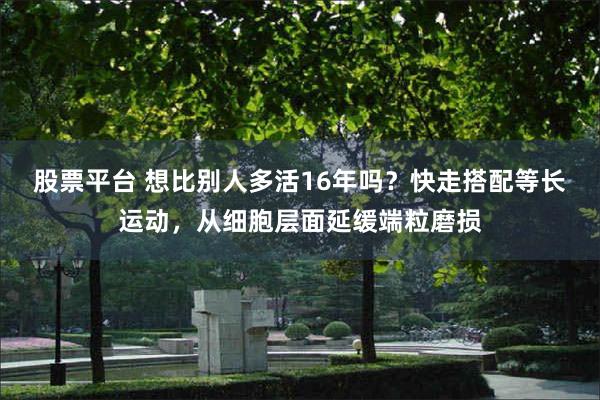 股票平台 想比别人多活16年吗？快走搭配等长运动，从细胞层面延缓端粒磨损
