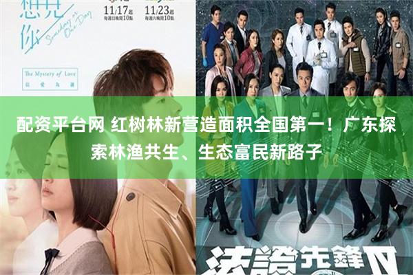 配资平台网 红树林新营造面积全国第一！广东探索林渔共生、生态富民新路子