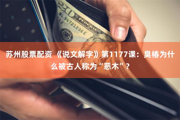 苏州股票配资 《说文解字》第1177课：臭椿为什么被古人称为“恶木”？