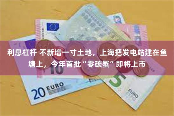 利息杠杆 不新增一寸土地，上海把发电站建在鱼塘上，今年首批“零碳蟹”即将上市