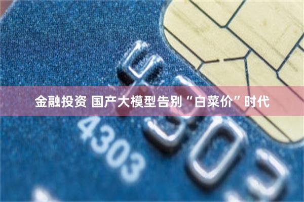 金融投资 国产大模型告别“白菜价”时代